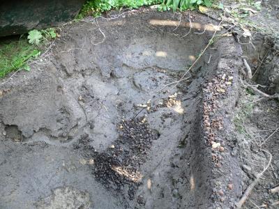 gangenstelsel